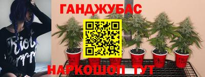 ALPHA PVP Свободный